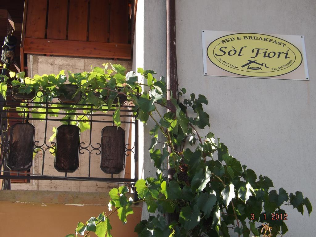 B&B Sol Fiori Agordo Buitenkant foto